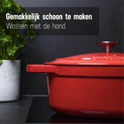 Daumonet Bocuse Rouge Gietijzeren Braadpan - Sudderpan Kersen Rood - Ovaal - Ø 29 Cm - 3 Liter - PFAS & PFOA Vrij - Emaille - Geschikt Voor Alle Warmtebronnen - Elektrisch - Gas - Halogeen - Inductie - Keramisch - Vaatwasserbestendig -Pot Verkoopwinkel 1200x1200 1066
