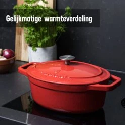 Daumonet Bocuse Rouge Gietijzeren Braadpan - Sudderpan Kersen Rood - Ovaal - Ø 29 Cm - 3 Liter - PFAS & PFOA Vrij - Emaille - Geschikt Voor Alle Warmtebronnen - Elektrisch - Gas - Halogeen - Inductie - Keramisch - Vaatwasserbestendig -Pot Verkoopwinkel 1200x1200 1067