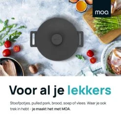MOA Gietijzeren Braadpan - Inhoud 4,75 Liter - 26CM - Rond - Alle Warmtebronnen - Ook Voor Inductie - Gewicht 5,8 Kg - Zwart - MOAMC26B -Pot Verkoopwinkel 1200x1200 1125