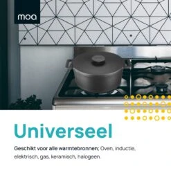 MOA Gietijzeren Braadpan - Inhoud 4,75 Liter - 26CM - Rond - Alle Warmtebronnen - Ook Voor Inductie - Gewicht 5,8 Kg - Zwart - MOAMC26B -Pot Verkoopwinkel 1200x1200 1128