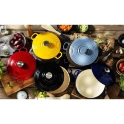 BK Bourgogne Braadpan Ø 28 Cm - Rood - Gietijzer - Inductie 18 BK Bourgogne Braadpan Ø 28 Cm - Rood - Gietijzer - Inductie -Pot Verkoopwinkel 1200x1200 1138