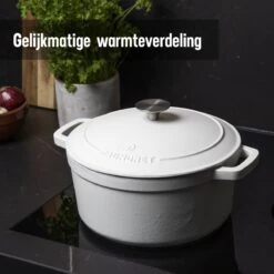 Daumonet Carême Blanc Gietijzeren Braadpan - Sudderpan Wit - Rond - Ø 26 Cm - 4,4 Liter - 100% PFAS & PFOA Vrij - Emaille - Geschikt Voor Alle Warmtebronnen - Elektrisch - Gas - Halogeen - Inductie - Keramisch - Vaatwasserbestendig -Pot Verkoopwinkel 1200x1200 1153