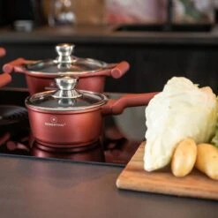 Herenthal Pannenset Inductie - Luxe 10-delige Koekenpan Inductie - Voor Alle Warmtebronnen - Pannen Met Glazen Deksels En Koudgrepen - Burgundy -Pot Verkoopwinkel 1200x1200 121