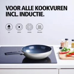 BRABANTIA INDU+ Wokpan - Keramische Antiaanbaklaag - Ø 28 Cm - Inductie - Pfas Vrij -Pot Verkoopwinkel 1200x1200 367