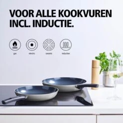 BRABANTIA INDU+ Koekenpan - Keramische Antiaanbaklaag - Ø 20 Cm - Inductie - Pfas Vrij -Pot Verkoopwinkel 1200x1200 549