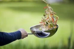 Demeyere Senses 5 RVS Wokpan - Inductie - 30 Cm – PTFE En PFAS Vrij -Pot Verkoopwinkel 1200x786 3