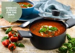 ISENVI Avon Keramische Kookpan 20 CM - Ergo Greep -Pot Verkoopwinkel 1200x851 1