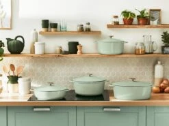 Tefal LOV Braadpan - 5L - Ø25 Cm - Groen -Pot Verkoopwinkel 1200x900 62