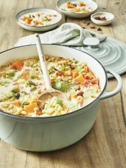 Tefal LOV Braadpan - 5L - Ø25 Cm - Groen -Pot Verkoopwinkel 900x1200 18